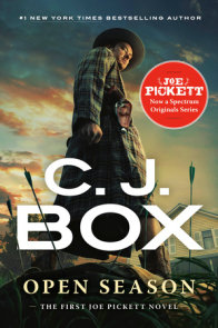 Dark Sky : Box, C. J.: : Books