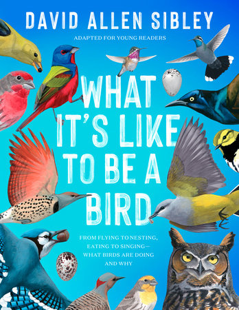 What It’s Like to Be a Bird (Adapted for Young Readers)