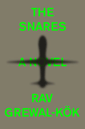 The Snares Book Cover Picture