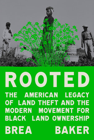 Rooted Book Cover Picture