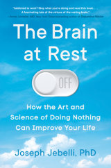 The Brain at Rest