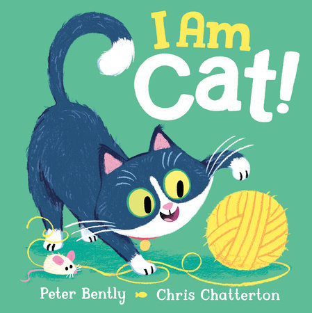I Am Cat! by Peter Bently