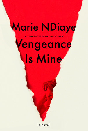 Vengeance is on my side by Marie NDiaye