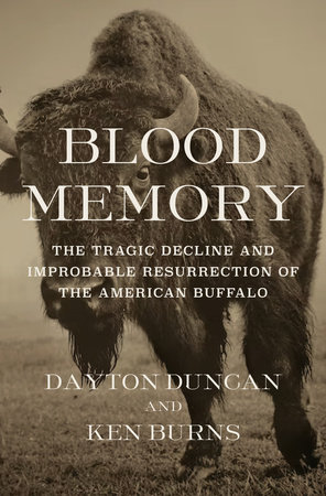 Blood Memory: The Tragic Decline and Improbable Resurrection of the American Buffalo