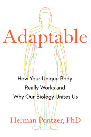 Adaptable by Herman Pontzer PhD