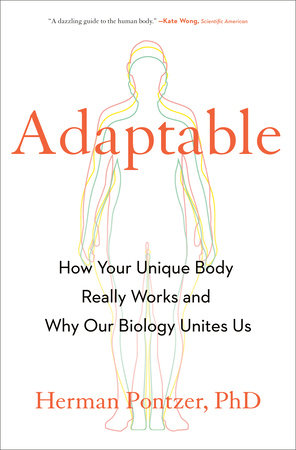 Adaptable by Herman Pontzer PhD