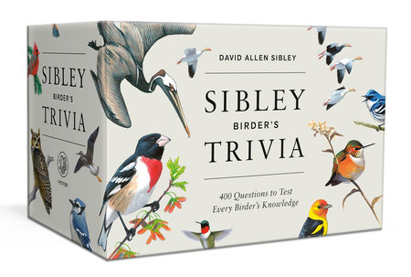 Sibley Birder's Trivia: A Card Game by David Allen Sibley