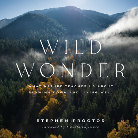 Wild Wonder by Stephen Proctor