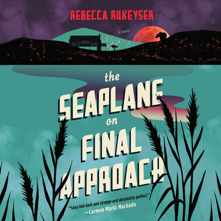 The Seaplane on Final Approach by Rebecca Rukeyser
