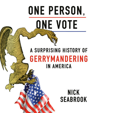 One Person, One Vote by Nick Seabrook