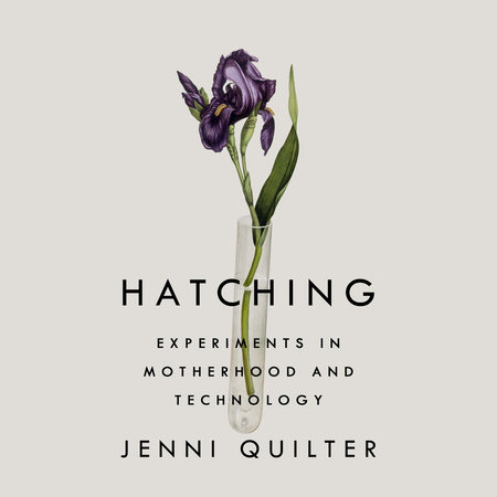 Hatching by Jenni Quilter