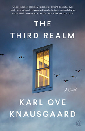 The Third Realm by Karl Ove Knausgaard
