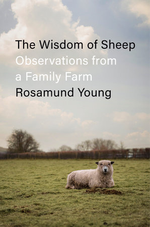 The Wisdom of Sheep by Rosamund Young