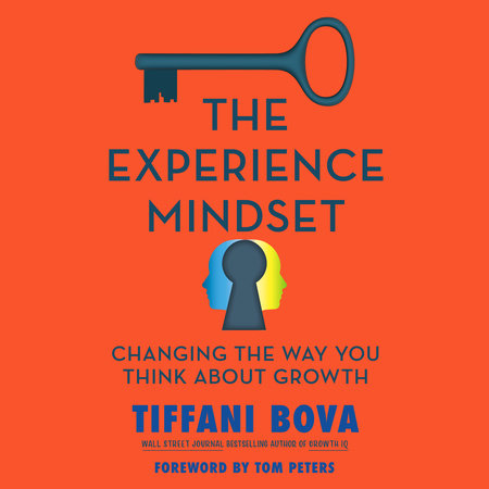 The Experience Mindset by Tiffani Bova
