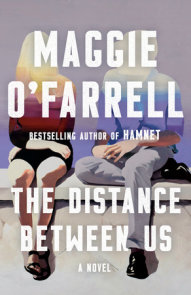 synopsis of book hamnet The Distance Between Us