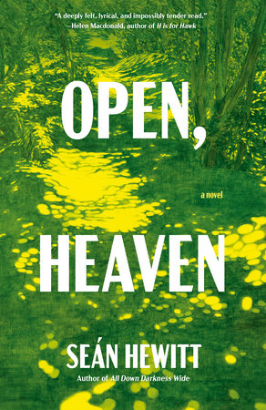Open, Heaven by Seán Hewitt