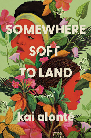Somewhere Soft to Land Book Cover Picture