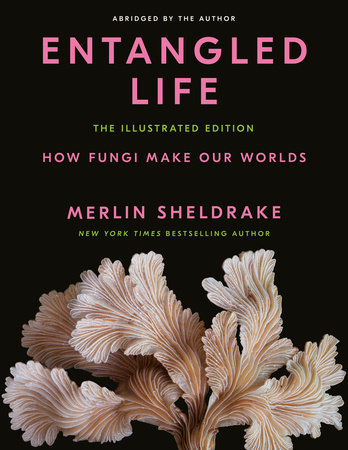 Entangled Life: The Illustrated Edition by Merlin Sheldrake