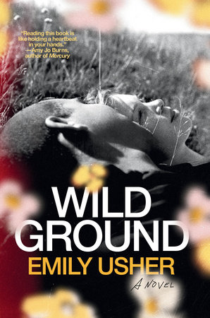 Wild Ground Book Cover Picture