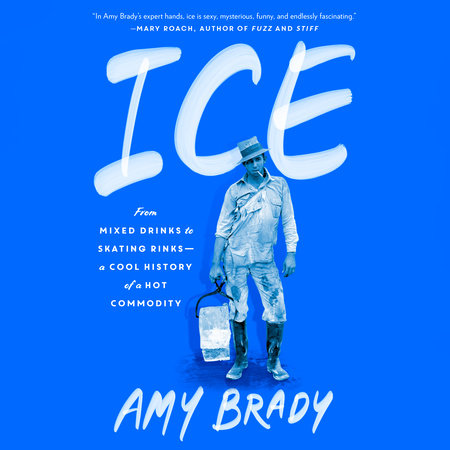 Ice by Amy Brady
