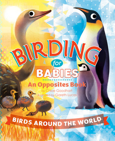 Birding for Babies: Birds Around the World by Chloe Goodhart