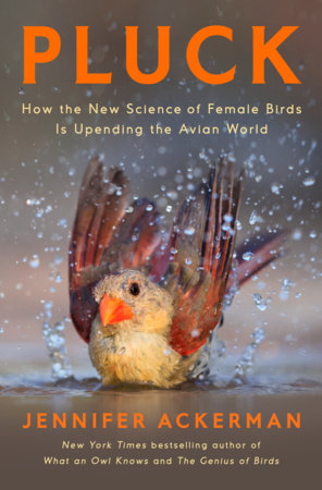 Pluck by Jennifer Ackerman