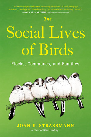 The Social Lives of Birds by Joan E. Strassmann