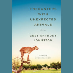 Encounters with Unexpected Animals