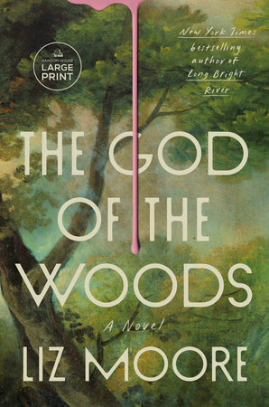 The God of the Woods by Liz Moore