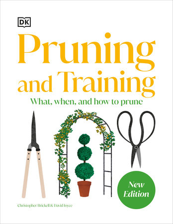 Pruning and Training by DK