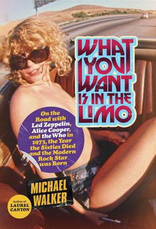 What You Want Is in the Limo by Michael Walker