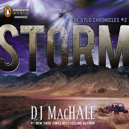 Storm by D. J. MacHale
