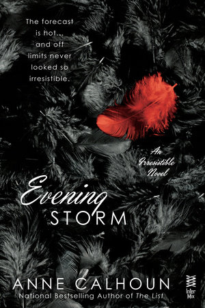 Evening Storm by Anne Calhoun