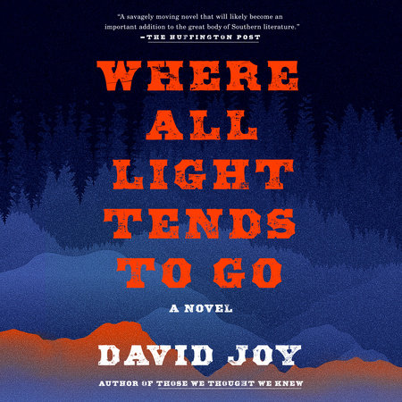 Where All Light Tends to Go by David Joy