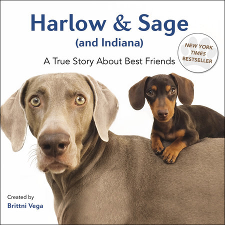 Harlow & Sage (and Indiana) by Brittni Vega