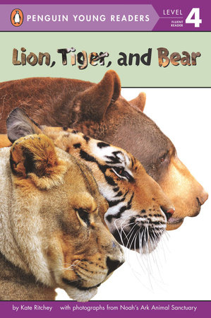 Lion, Tiger, and Bear by Kate Ritchey