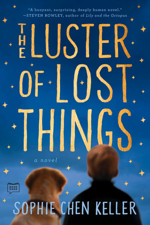 The Luster of Lost Things by Sophie Chen Keller