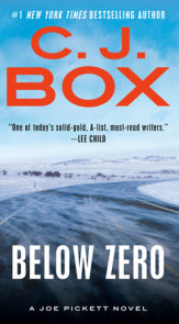 Below Zero