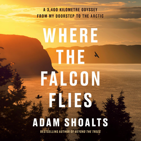 Where the Falcon Flies by Adam Shoalts