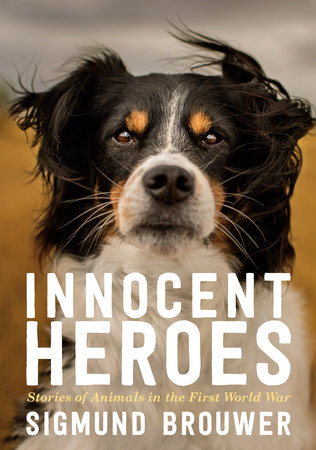 Innocent Heroes by Sigmund Brouwer