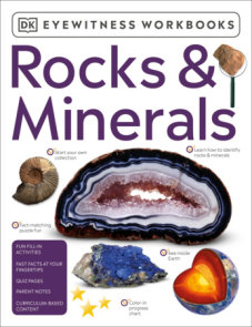 Eyewitness Workbooks Rocks & Minerals