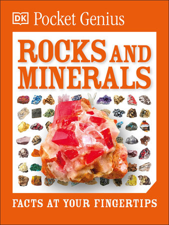 Pocket Genius Rocks and Minerals by DK