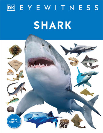 Shark by DK