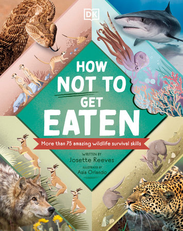 How Not to Get Eaten by Josette Reeves