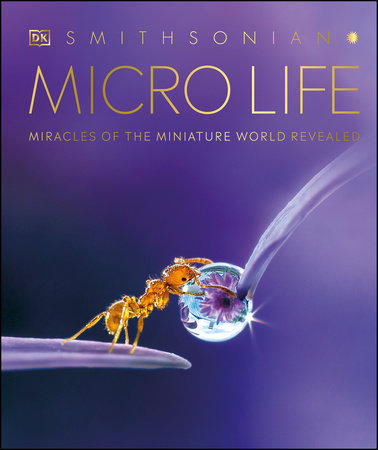 Micro Life by DK