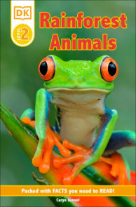 DK Reader Level 2: Rainforest Animals