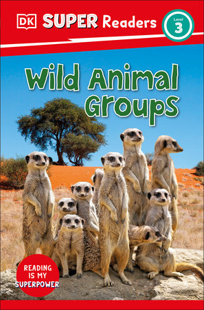 DK Super Readers Level 3 Wild Animal Groups by DK