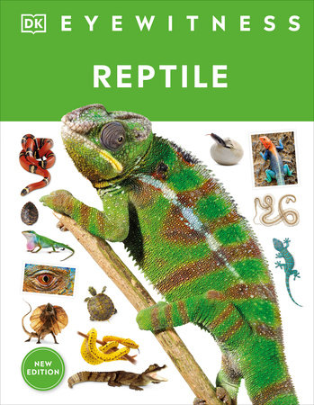 Eyewitness Reptile by Colin McCarthy