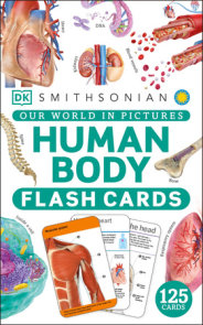 Our World in Pictures Human Body Flash Cards