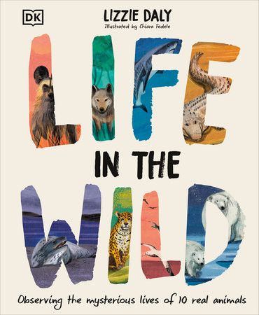 Life in the Wild by Lizzie Daly